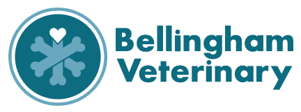Bellingham Veterinary